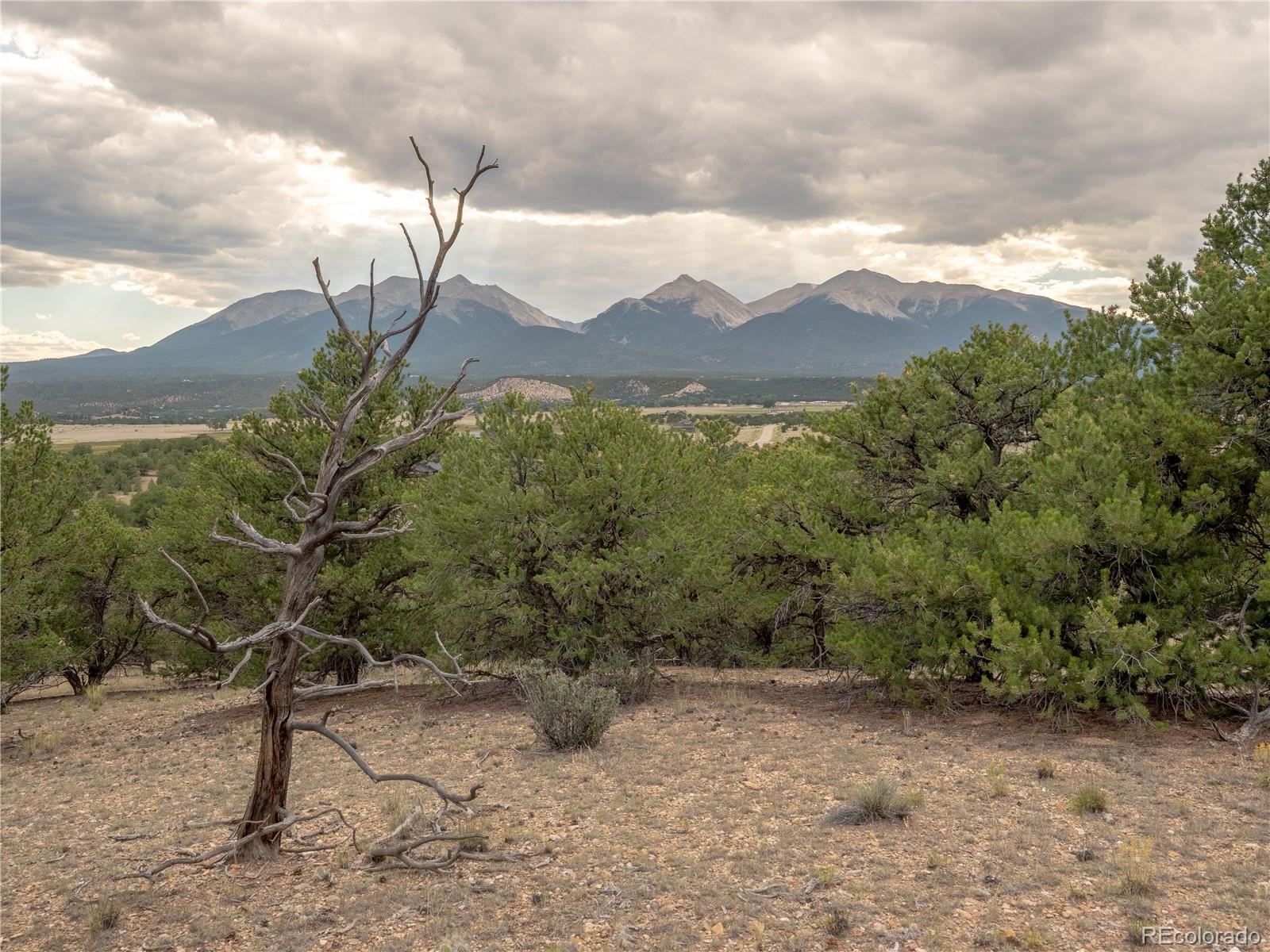 10286 Pioneer Trc, Nathrop, CO 81236