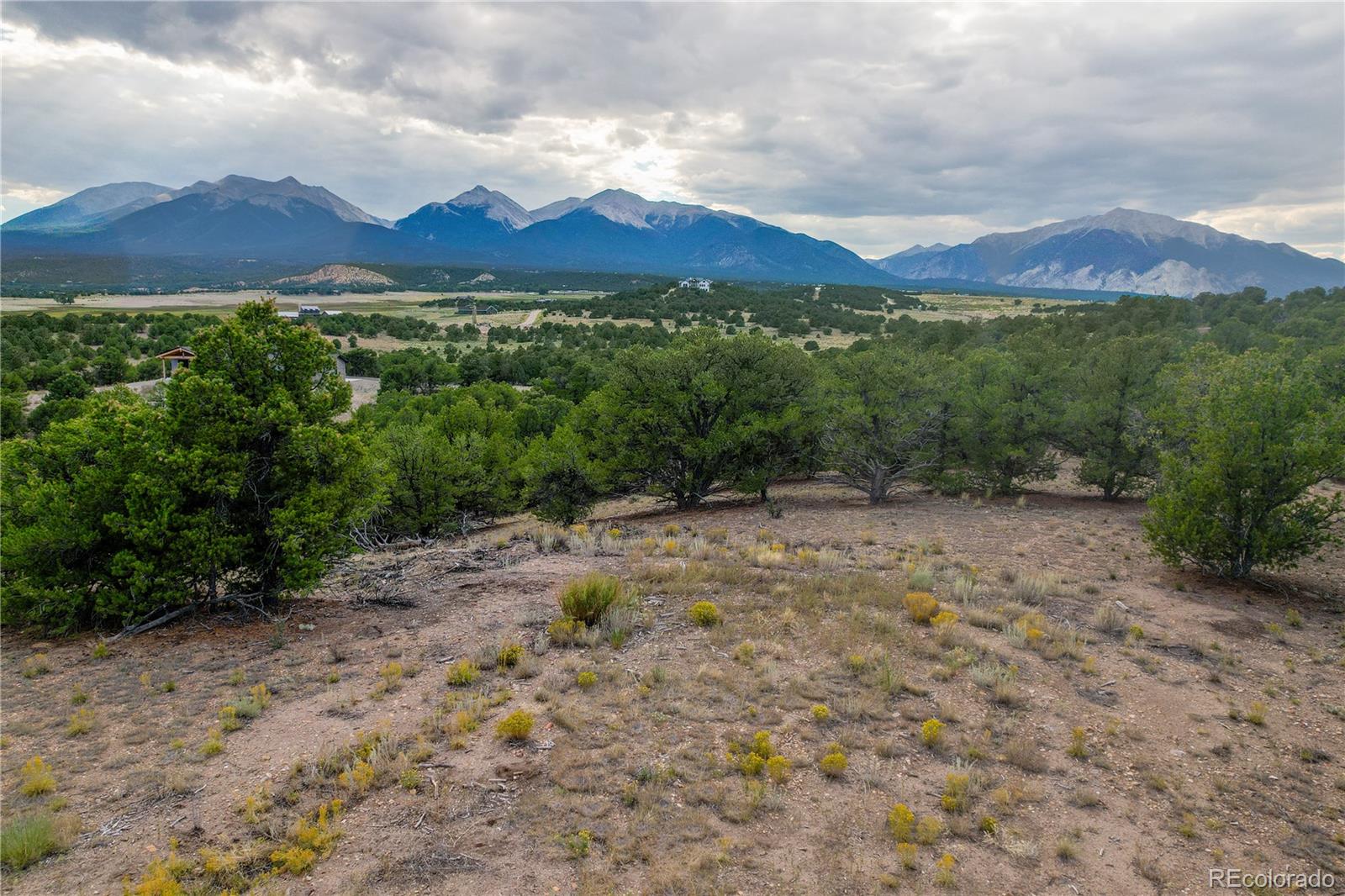 10286 Pioneer Trc, Nathrop, CO 81236