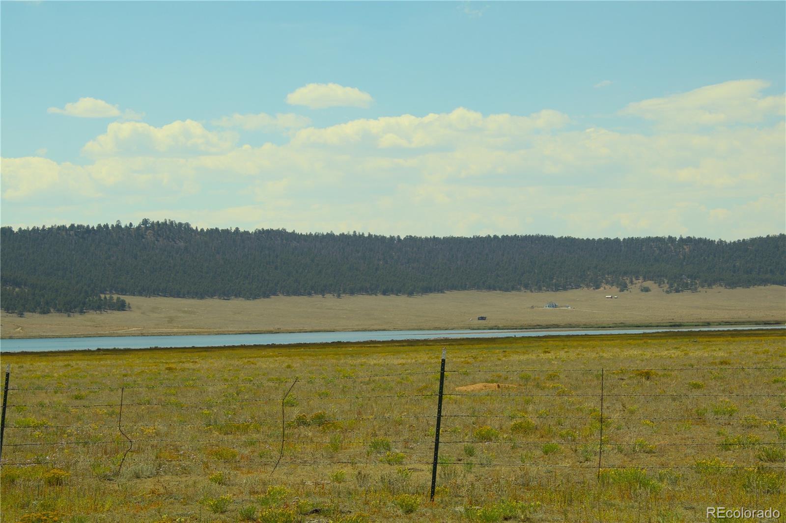 Cr 92, Lake George, CO 80827