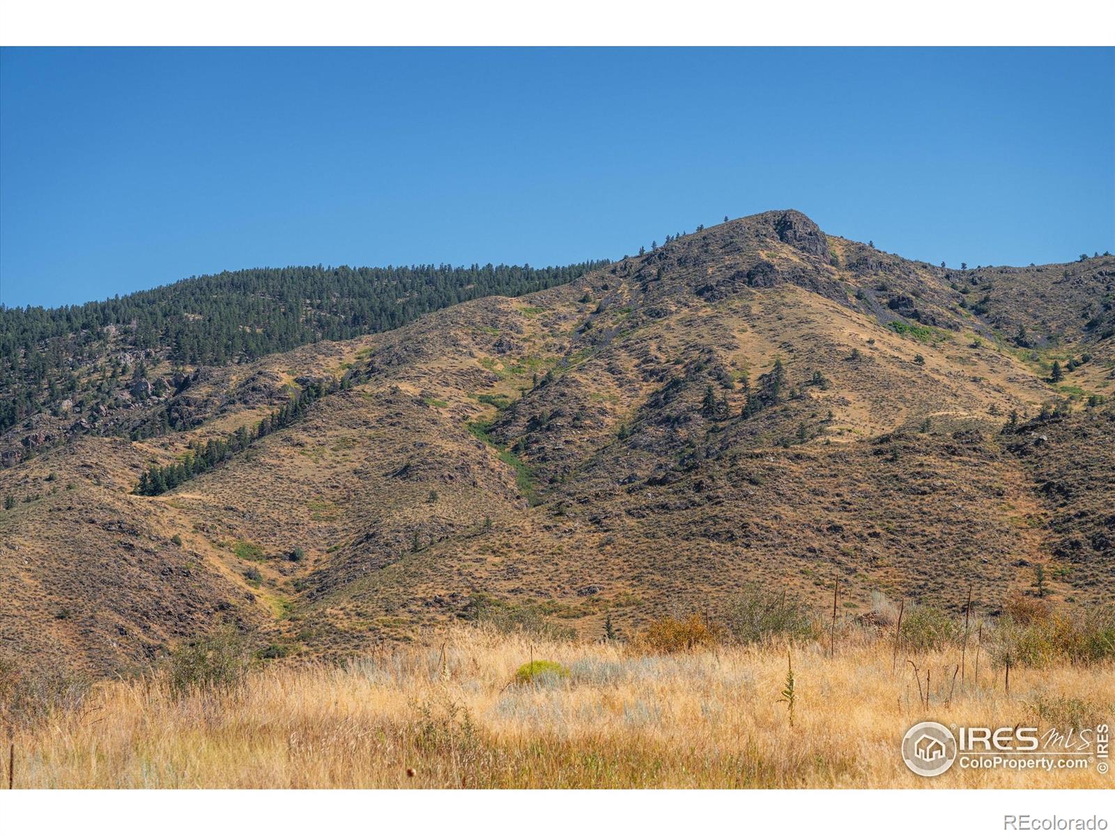 192 Moondance Way, Bellvue, CO 80512
