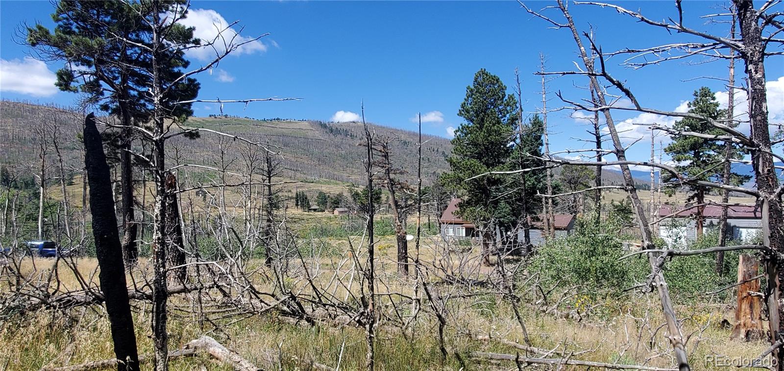 Lot 1064 Reed Ln Lot 1064, Fort Garland, CO 81133
