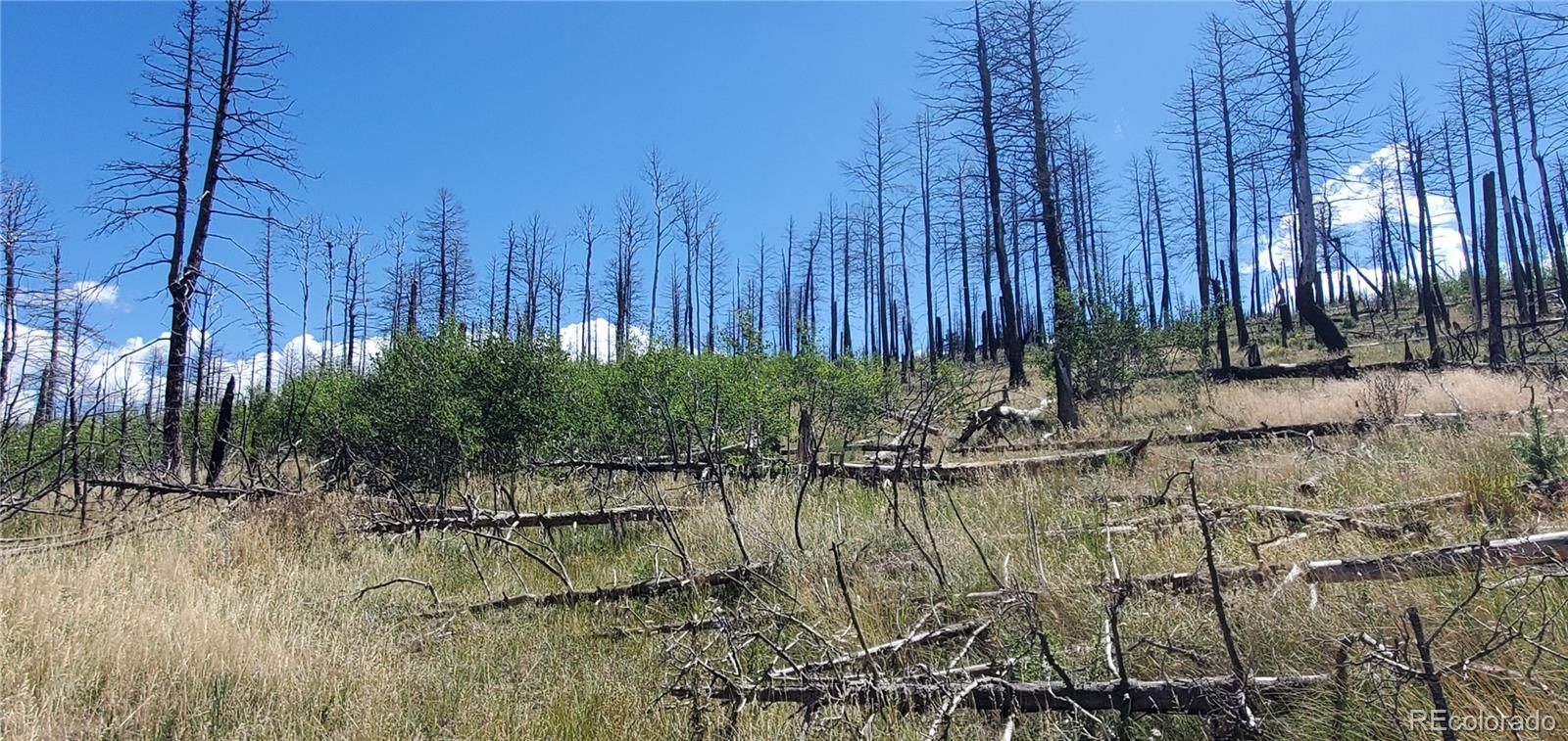 Lot 1064 Reed Ln Lot 1064, Fort Garland, CO 81133