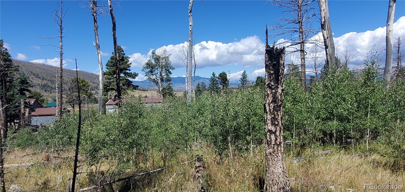 Lot 1064 Reed Ln Lot 1064, Fort Garland, CO 81133