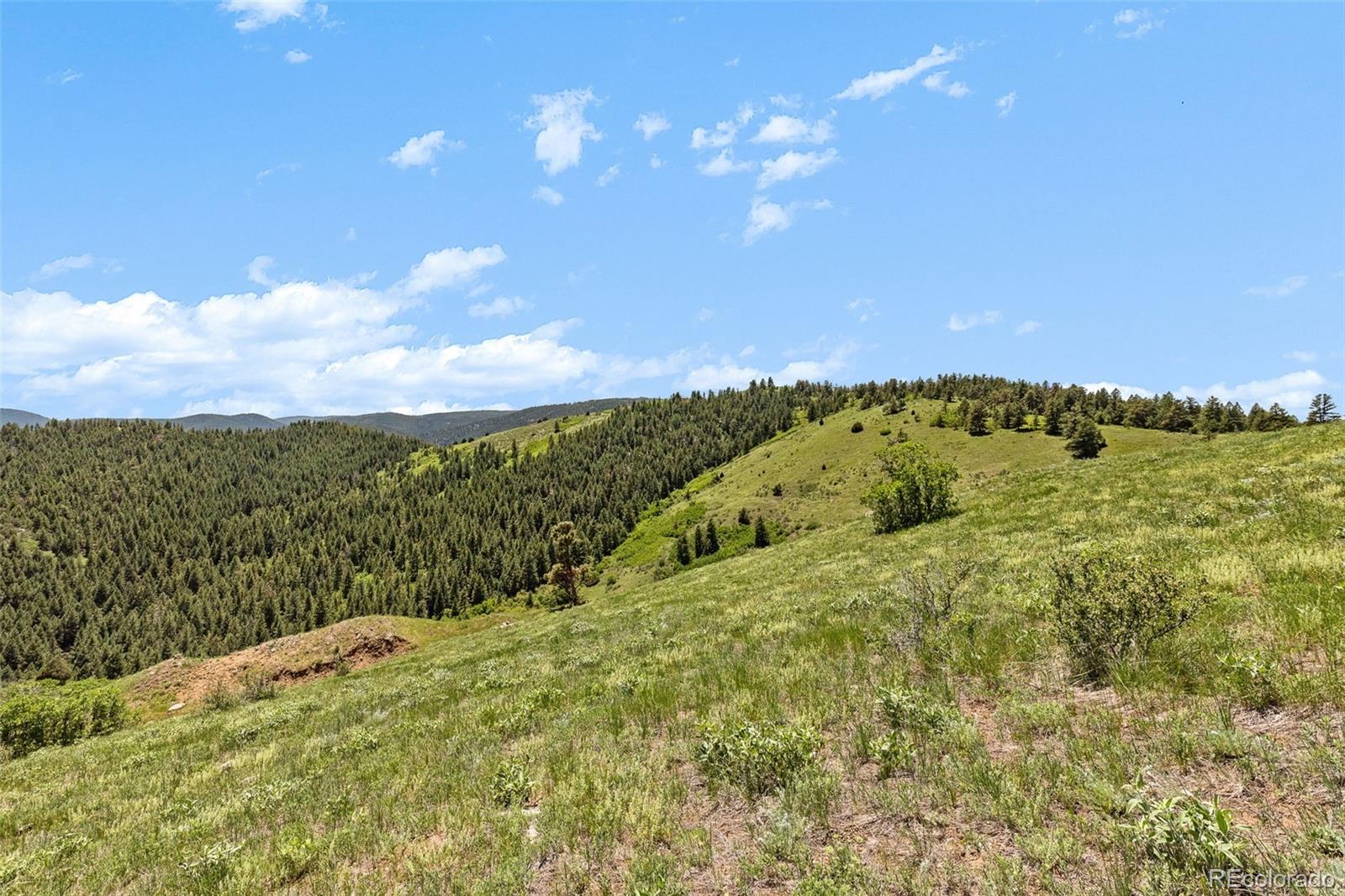 8529 S Deer Creek Canyon Rd, Morrison, CO 80127