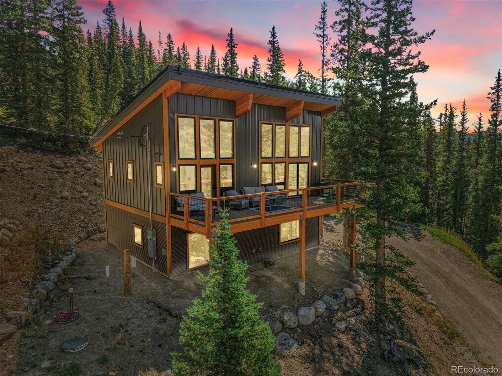 116 Goldfinch Pl, Alma, CO 80420