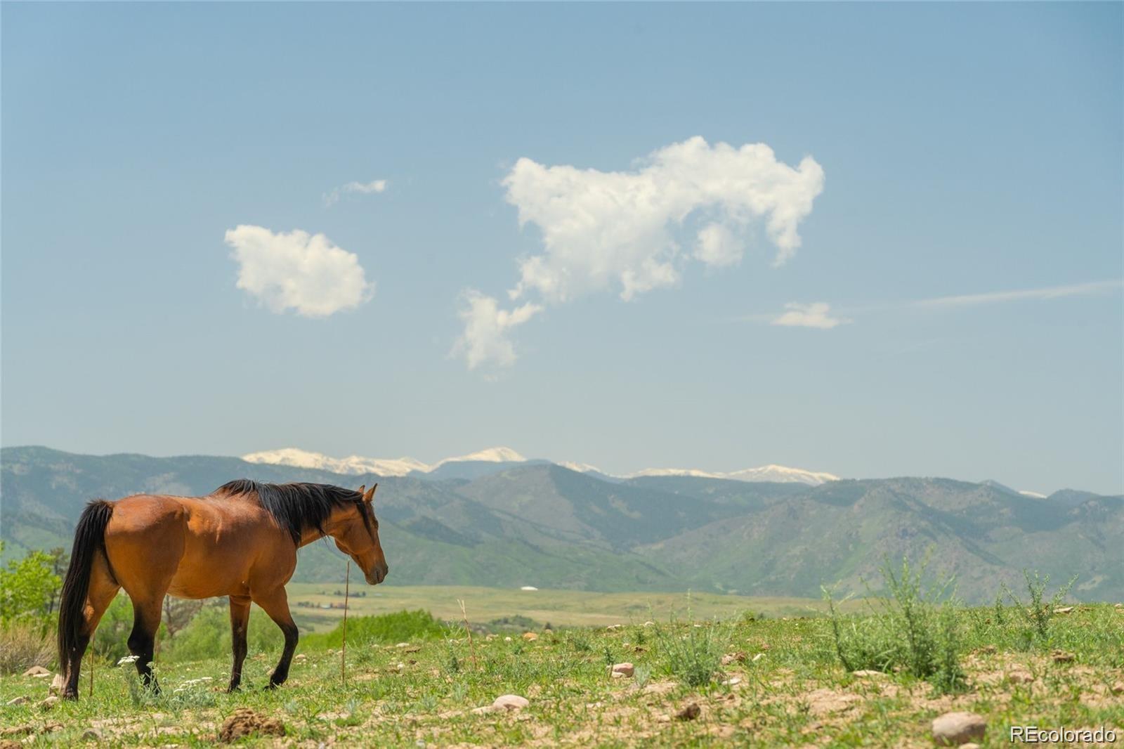 3330 Tweet Pl, Sedalia, CO 80135