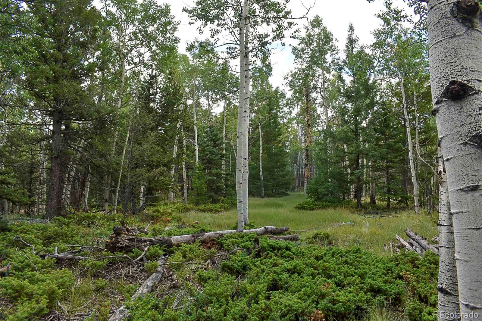 205 Timberline Dr, Guffey, CO 80820