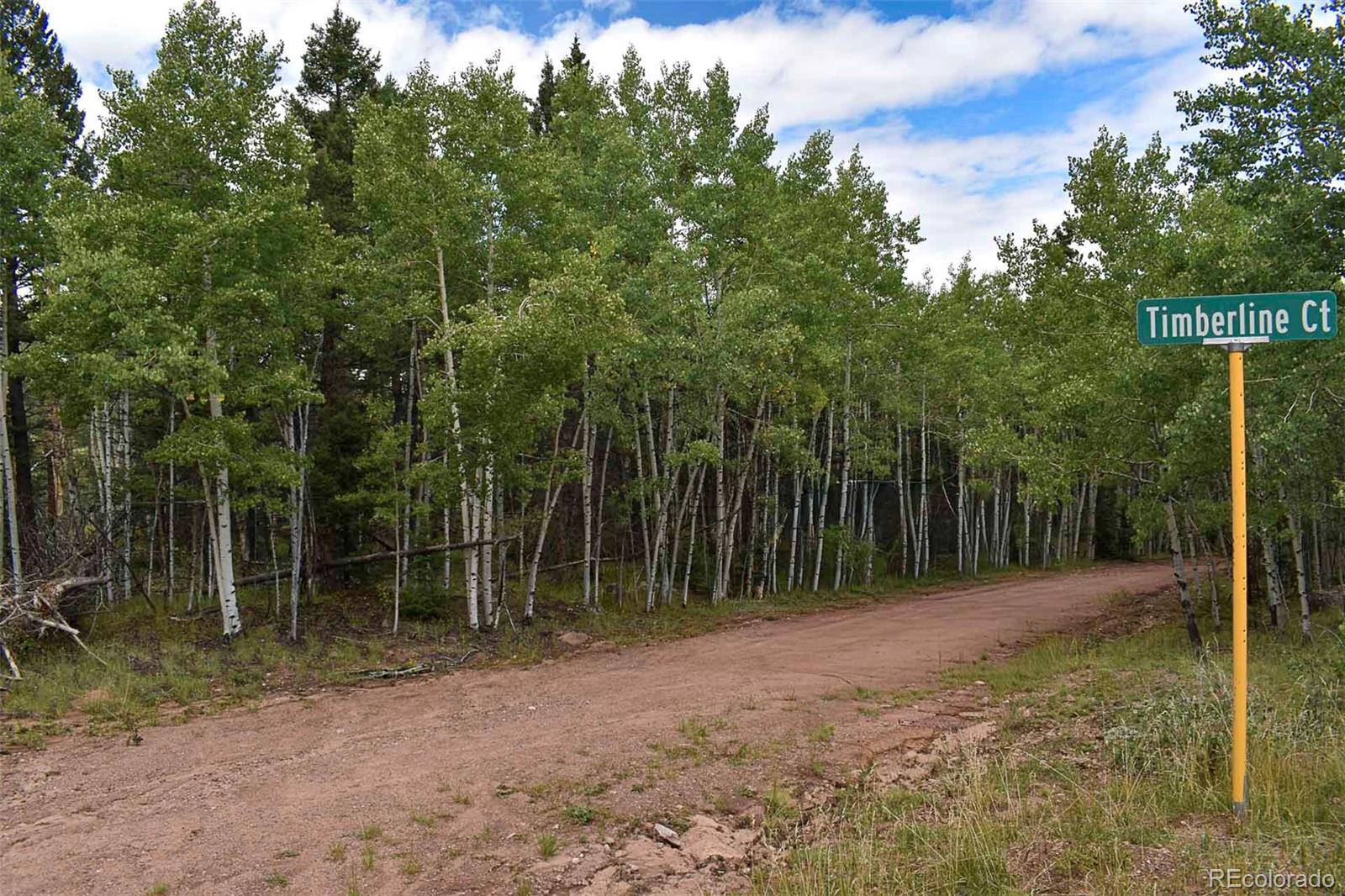 205 Timberline Dr, Guffey, CO 80820