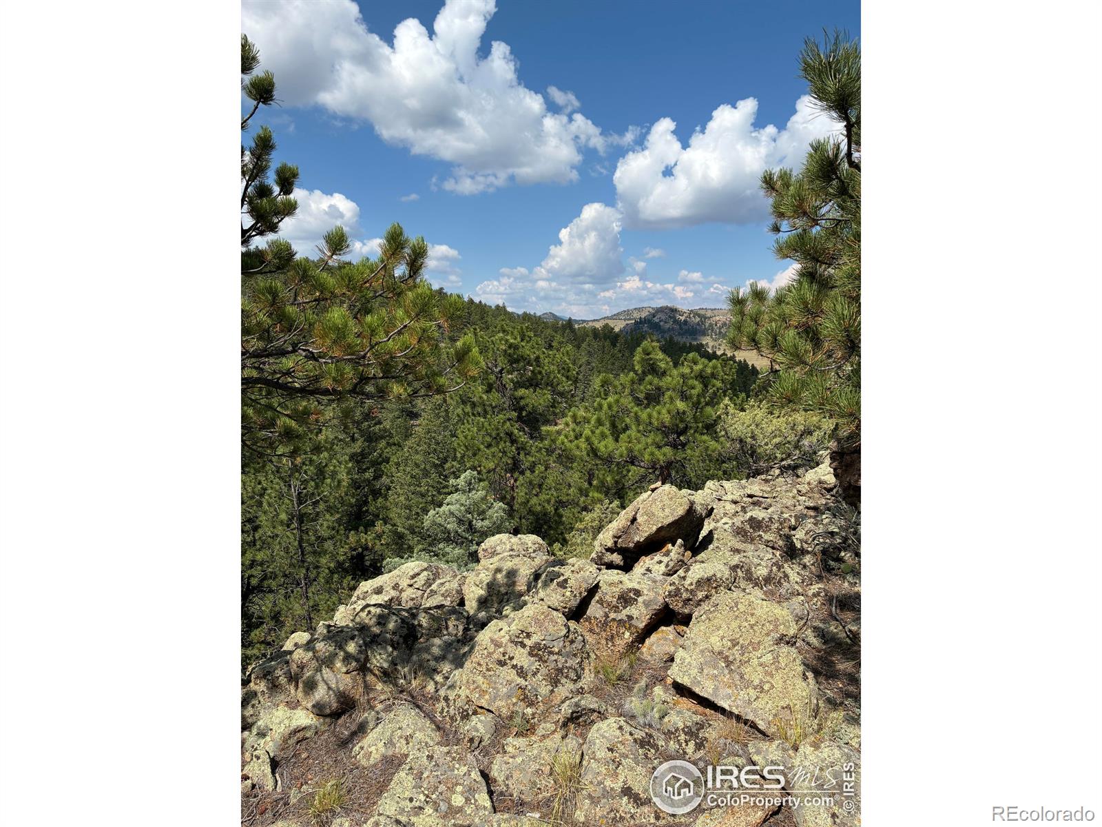 272 Mount Alice Ct, Livermore, CO 80536