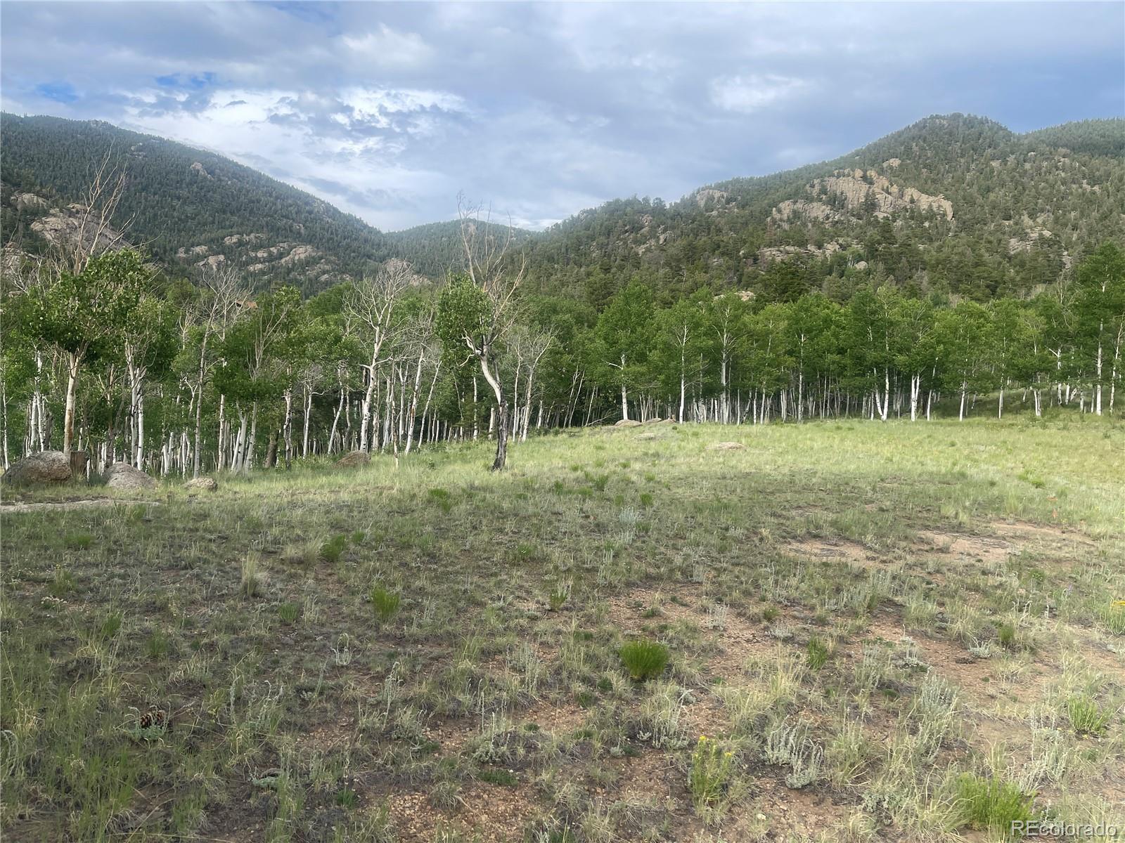 171 Emerald Way, Lake George, CO 80827