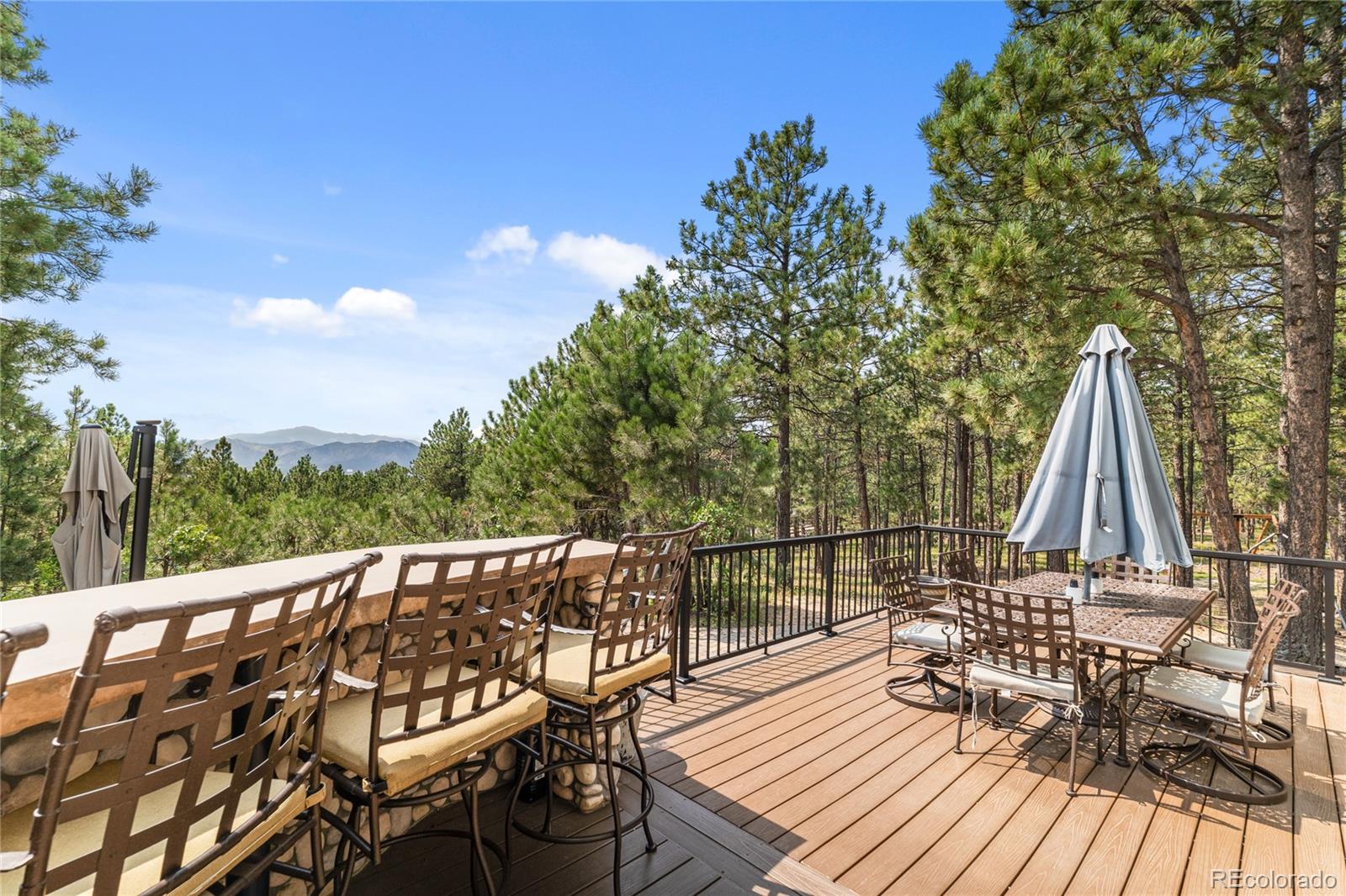 17715 Radbourne Ct, Monument, CO 80132