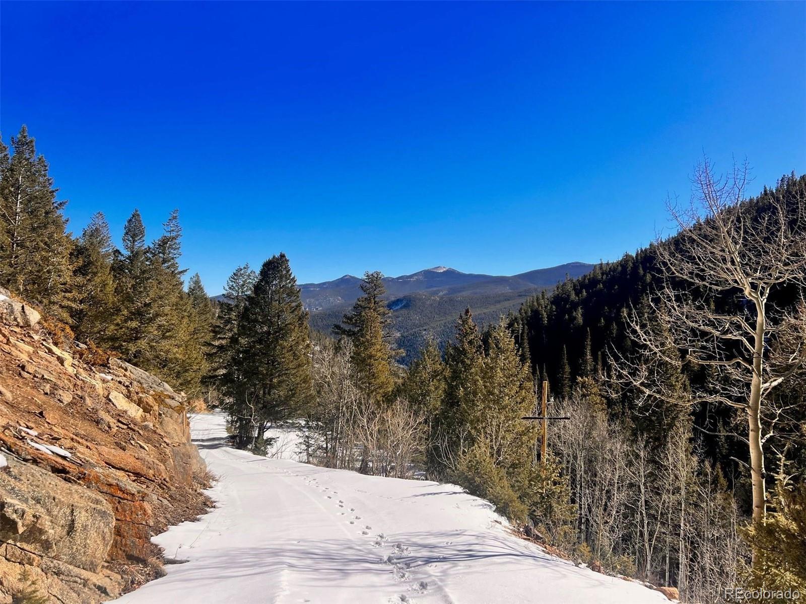 000 Ute Creek Rd, Idaho Springs, CO 80452