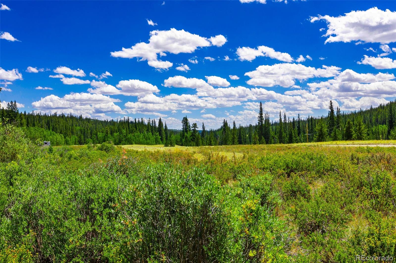 1421 Buckskin Rd, Alma, CO 80420