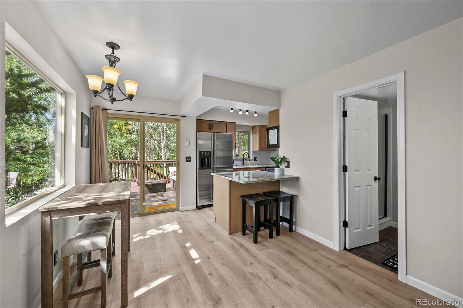 6941 Ryan Gulch Rd #6941, Silverthorne, CO 80498