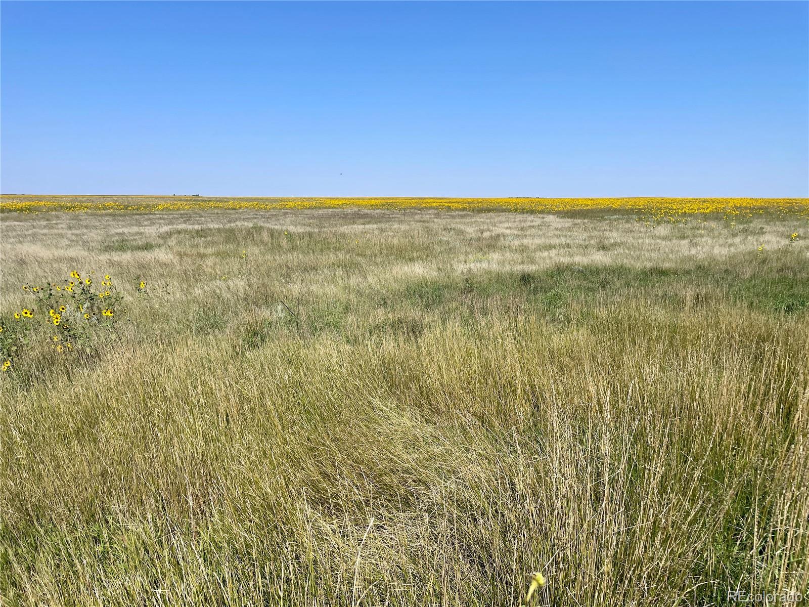 County Road 22, Matheson, CO 80830