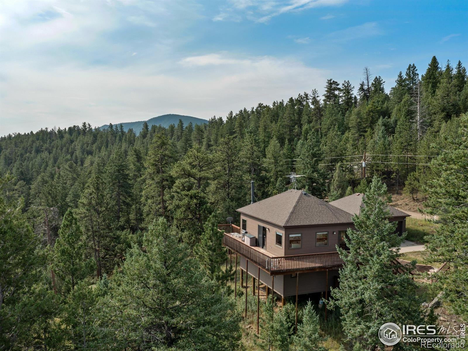 173 Snow Top Dr, Drake, CO 80515