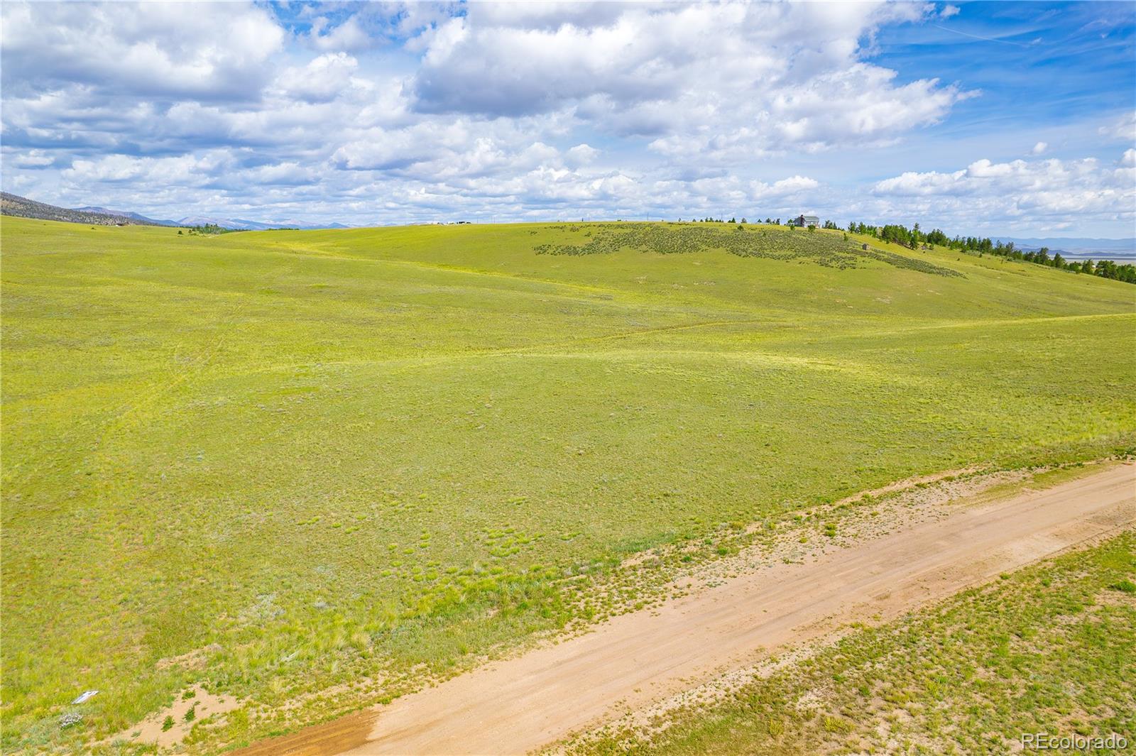 635 Hereford Dr, Hartsel, CO 80449