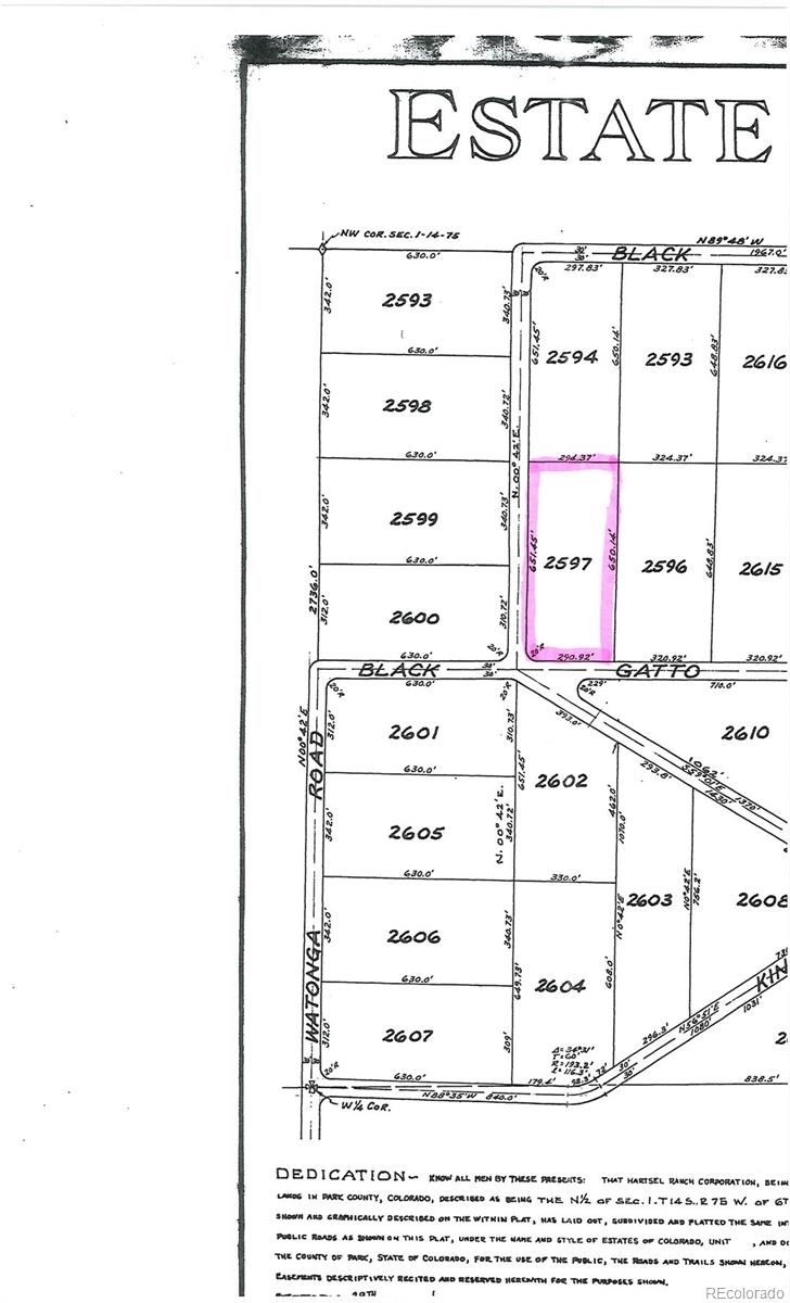 217 Black Gatto Trl, Hartsel, CO 80449