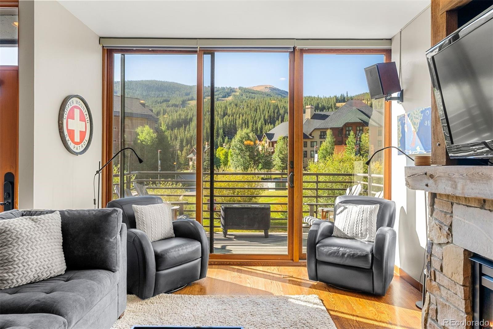 115 Beeler Pl #1, Frisco, CO 80443