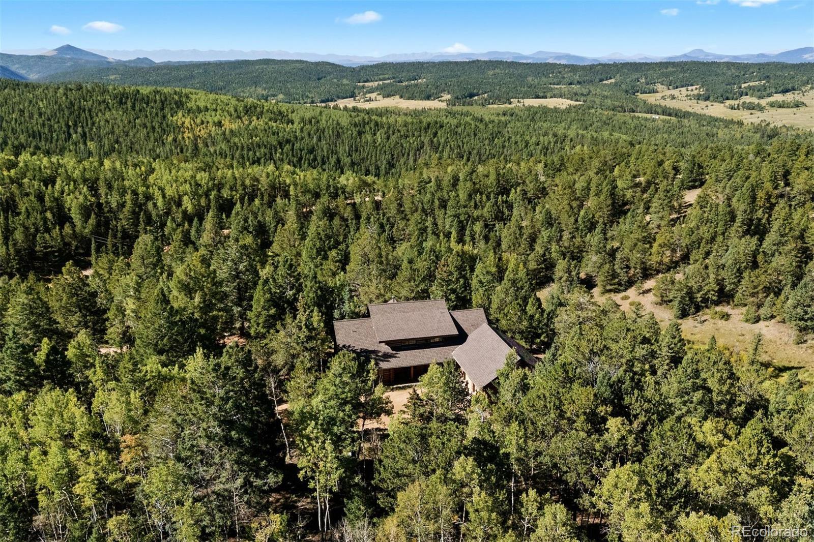 1010 Cantiberry Rd, Divide, CO 80814