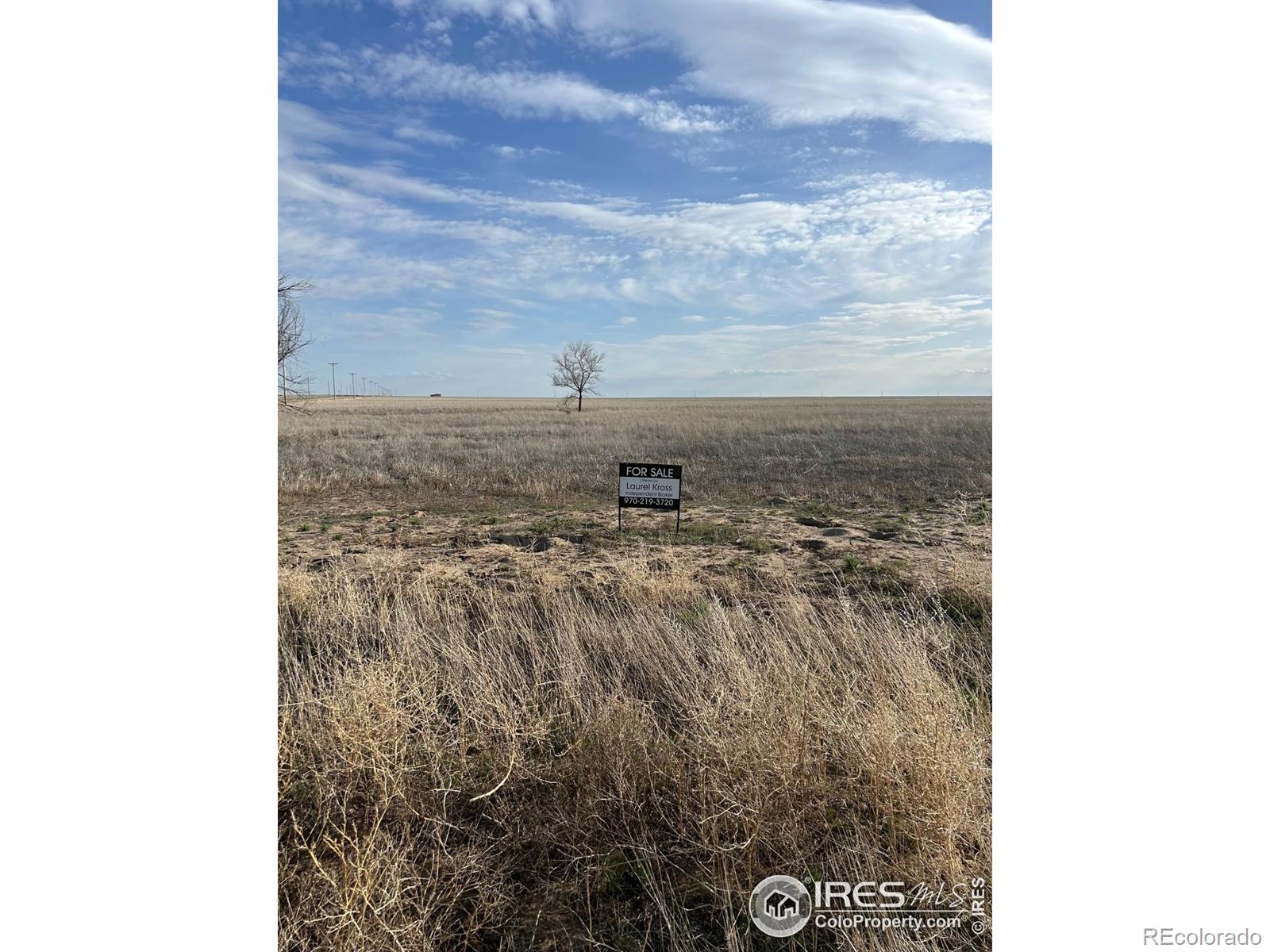0 Cr71, Briggsdale, CO 80611