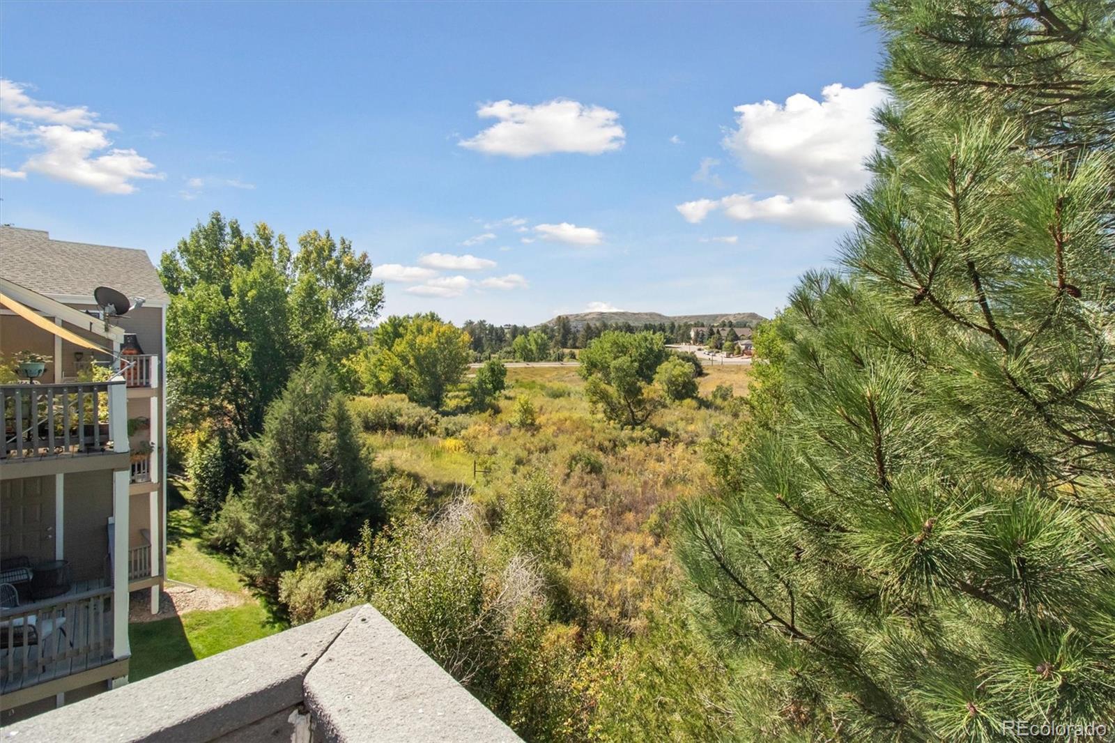 1251 S Gilbert St #1251, Castle Rock, CO 80104