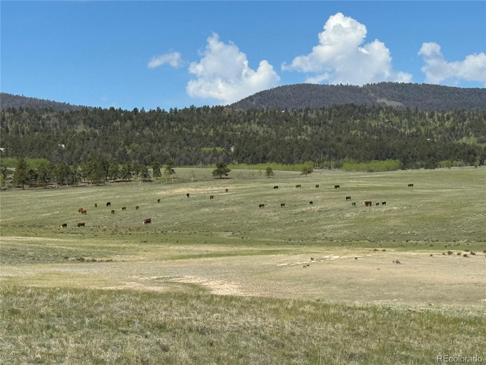 04 Ranch Rd Lot 2, Hartsel, CO 80449