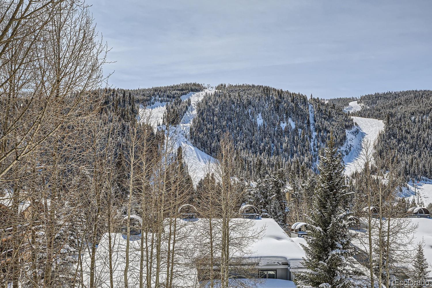 22864 Us Highway 6 #301, Keystone, CO 80435