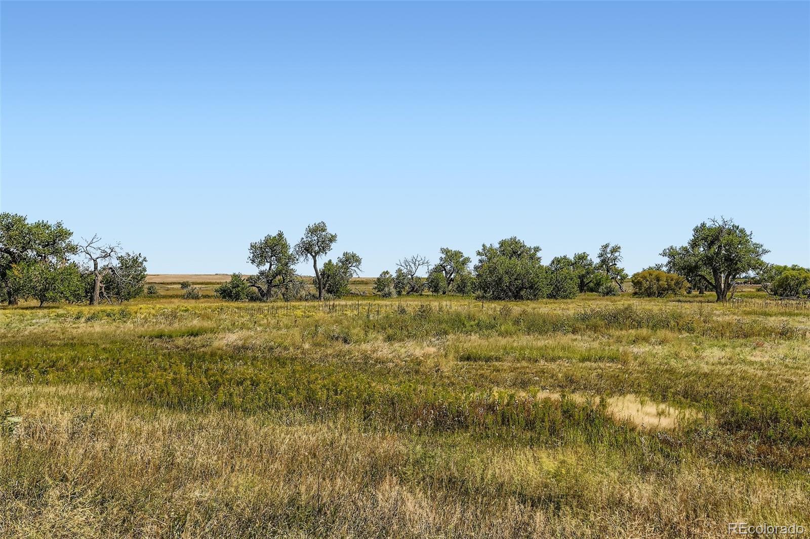 16540 Umpire St, Hudson, CO 80642