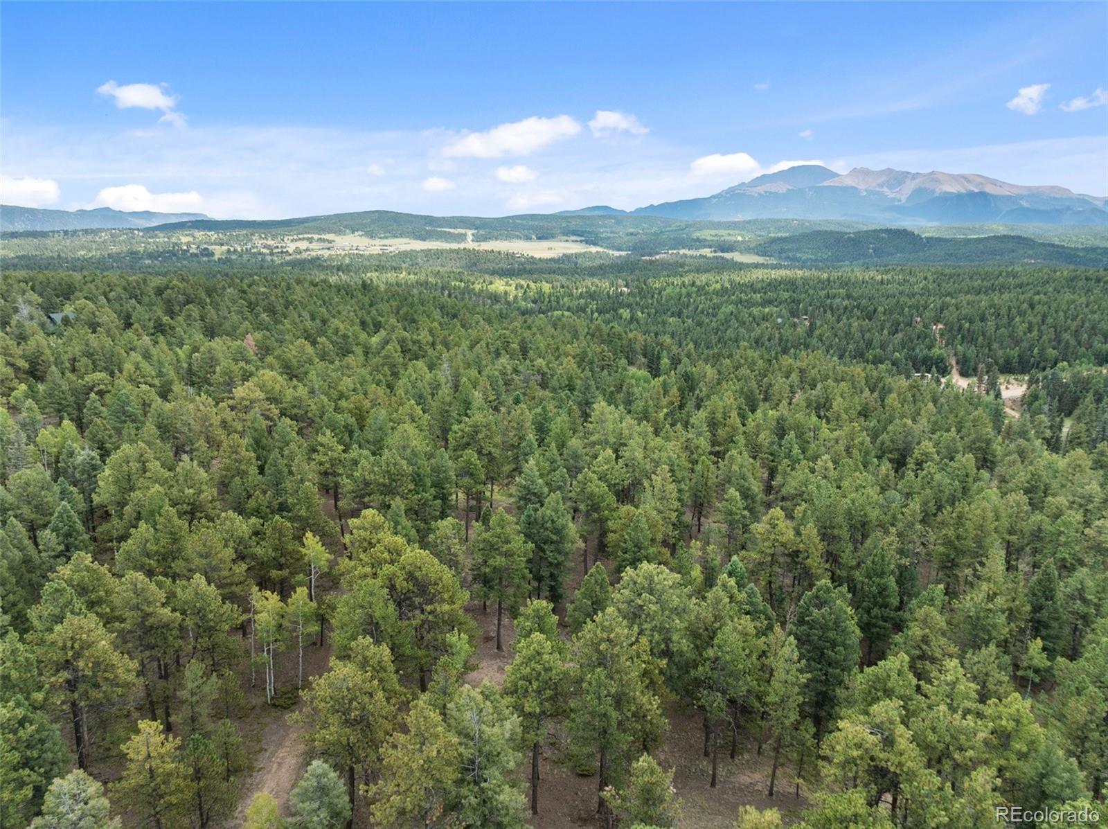 113 Homestead Dr, Woodland Park, CO 80863
