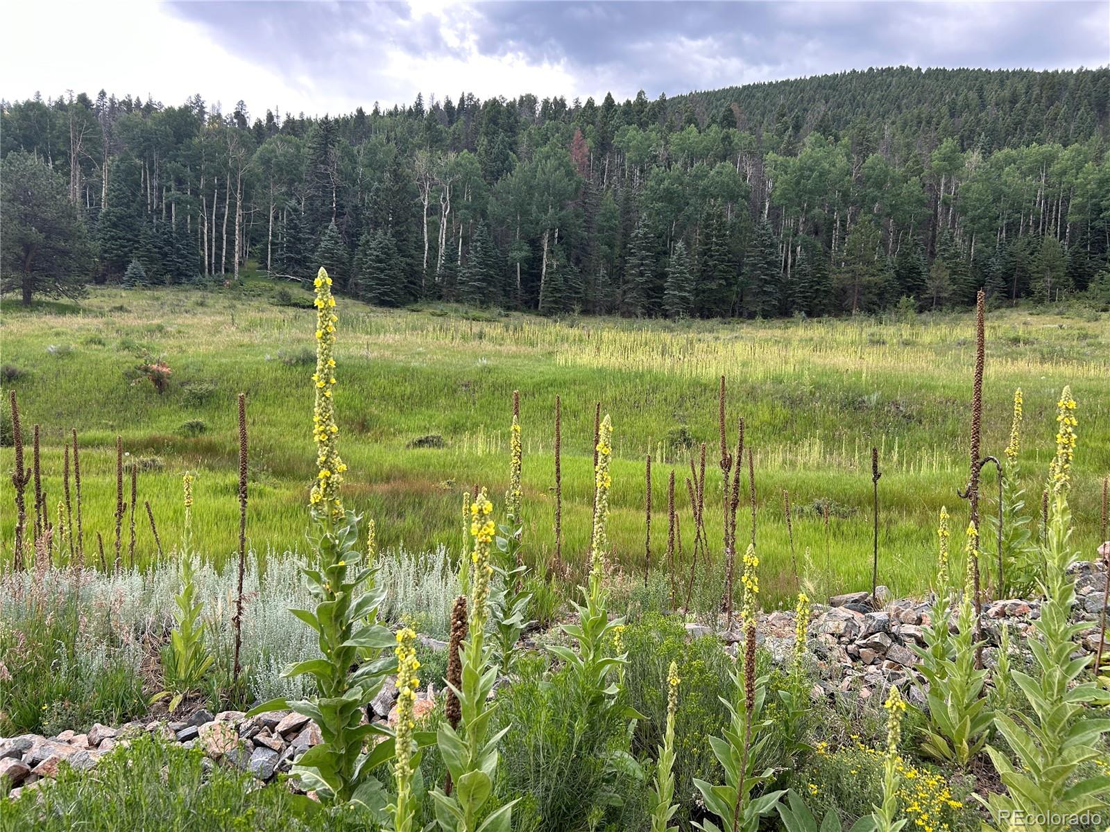 7700 Junkins Pk Lot 2, Westcliffe, CO 81252