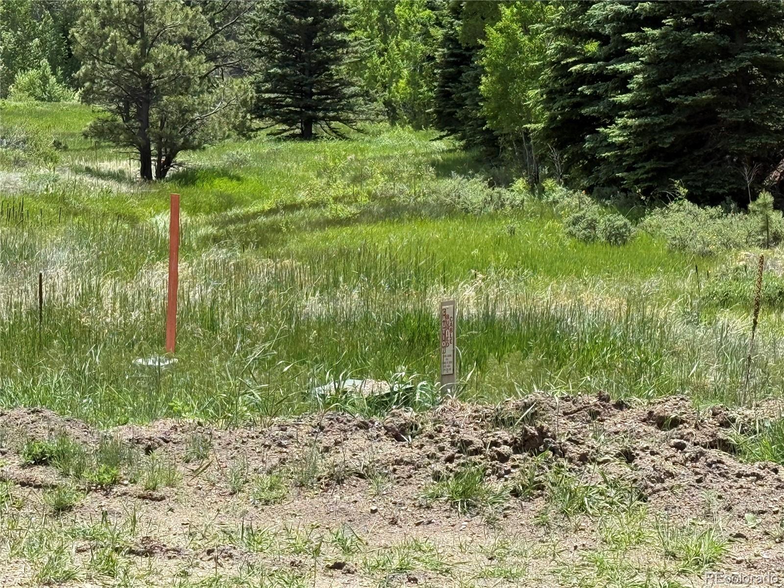 7700 Junkins Pk Lot 2, Westcliffe, CO 81252