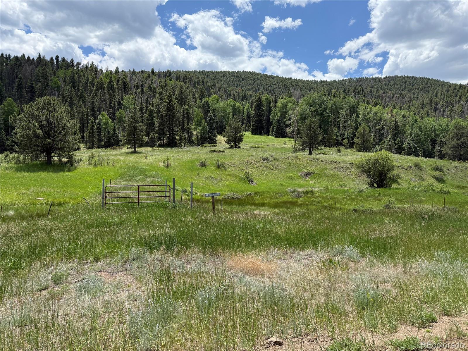 7700 Junkins Pk Lot 2, Westcliffe, CO 81252