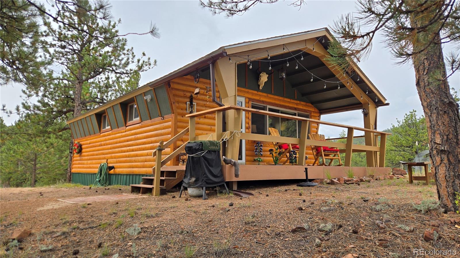 259 S Vermillion Rd, Lake George, CO 80827