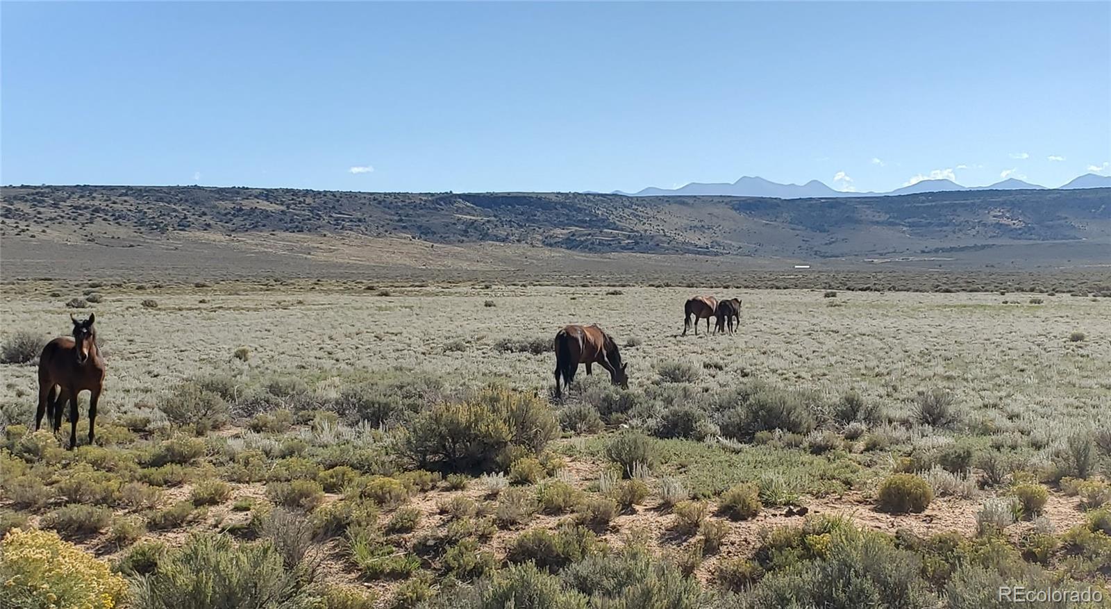 Tbd 154 Ac Vacant Land Lot SW4 of sec 1-2-73, San Luis, CO 81152