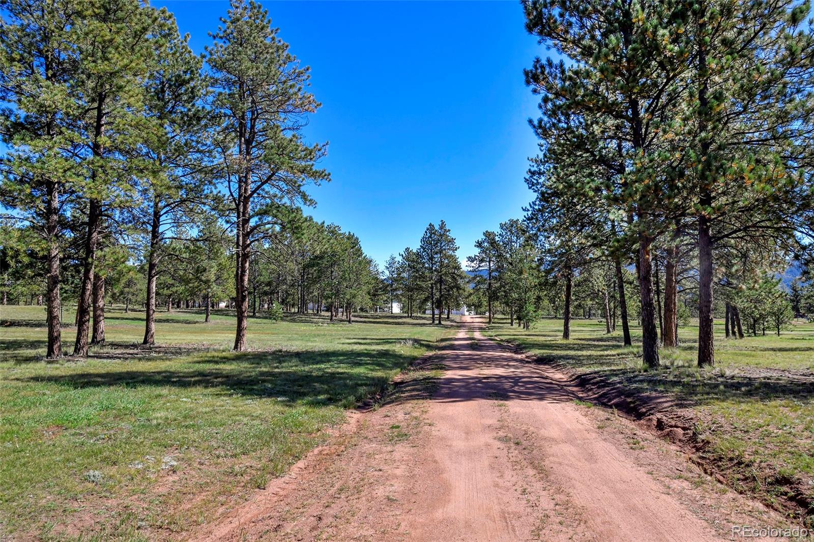 5155 Painted Rocks Rd, Woodland Park, CO 80863