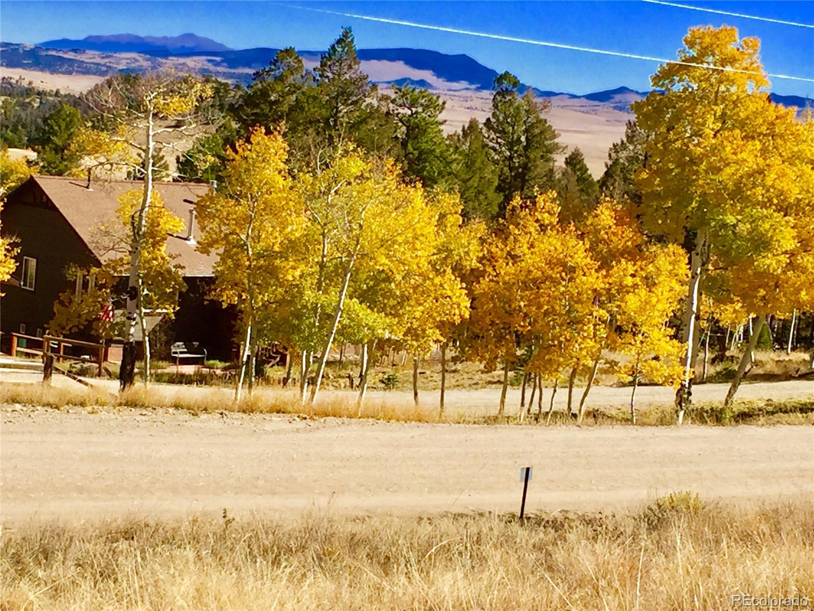 821 Blacksmith Rd, Hartsel, CO 80449
