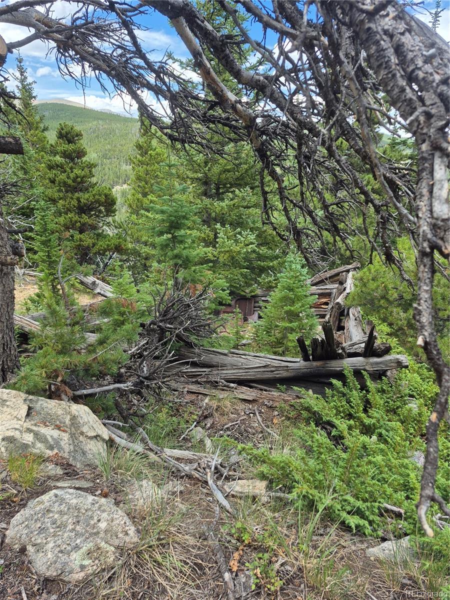 1900 County Road 128j, Nederland, CO 80466