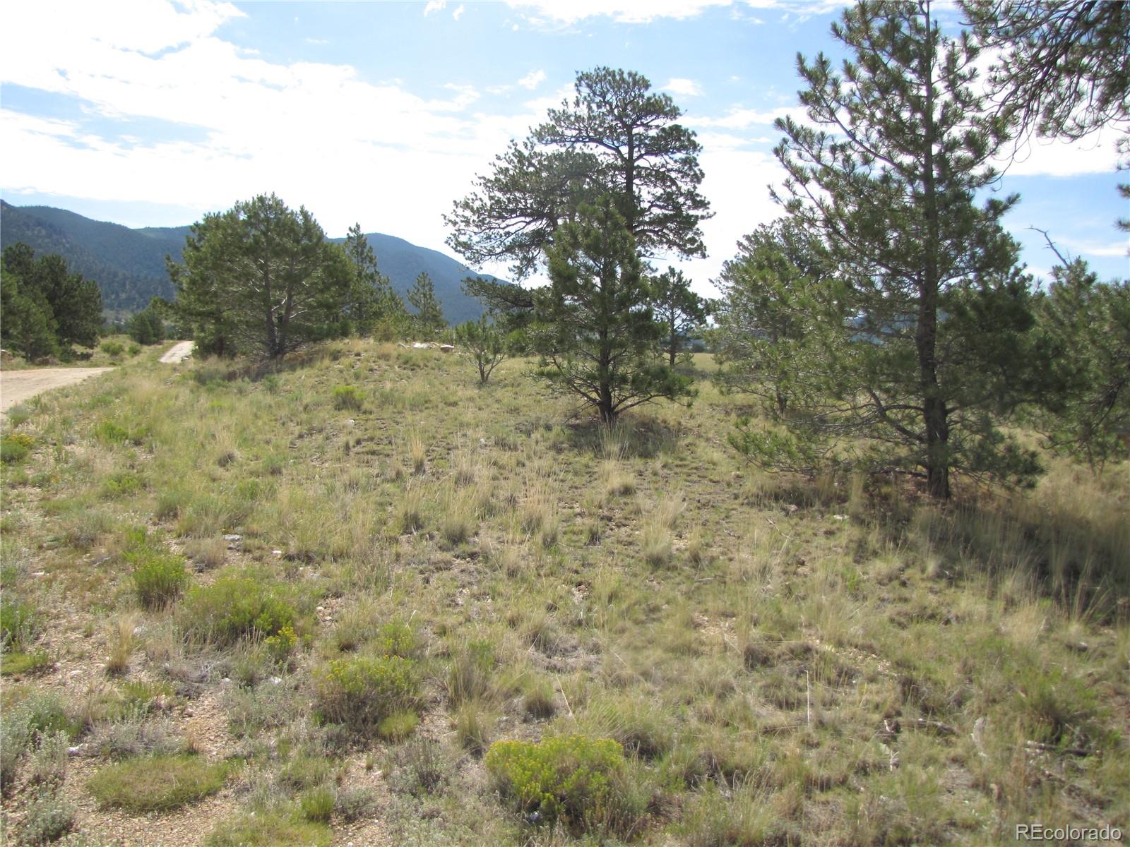 11744 Jackson Rd, Lake George, CO 80449