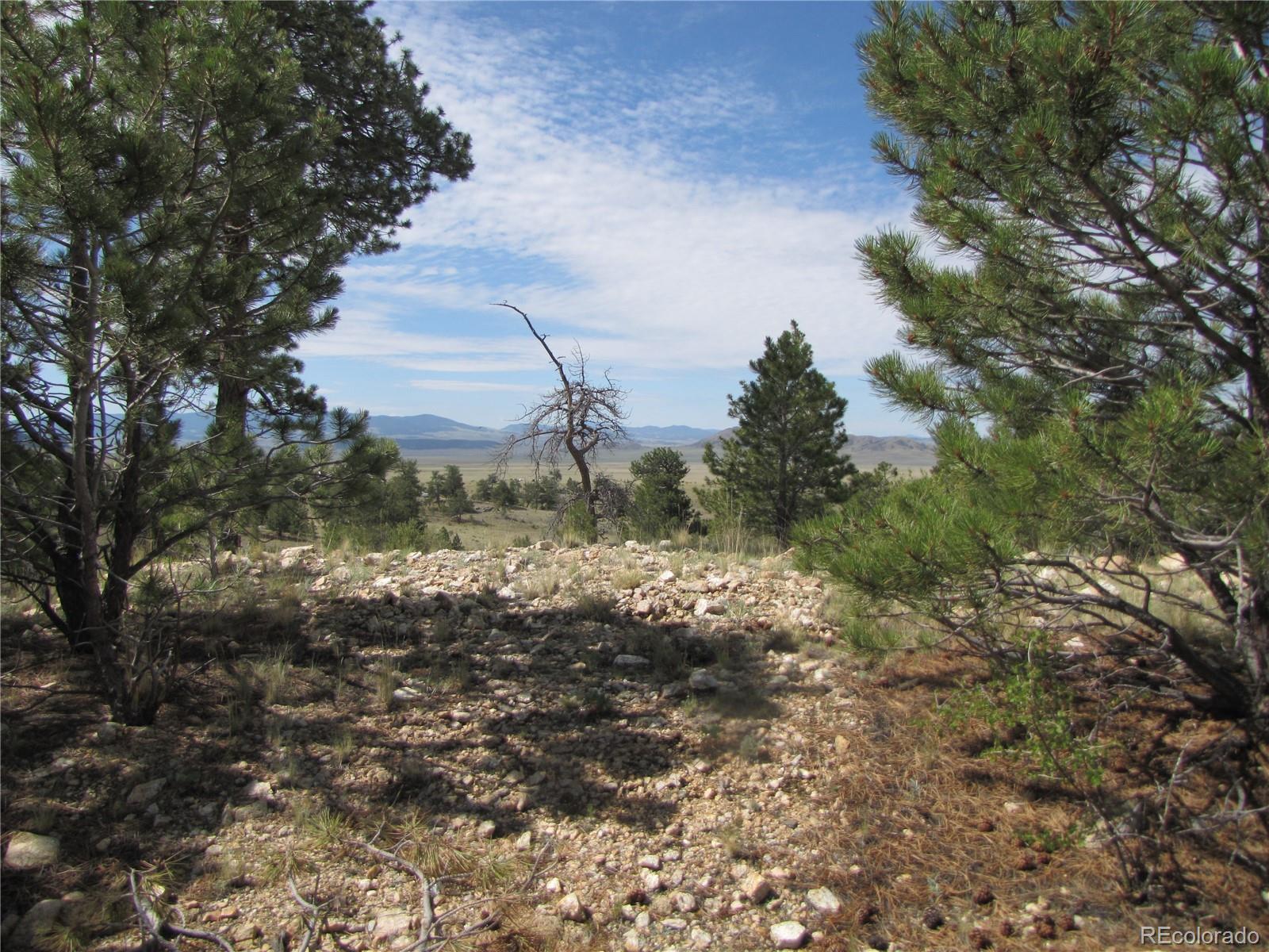 11744 Jackson Rd, Lake George, CO 80449