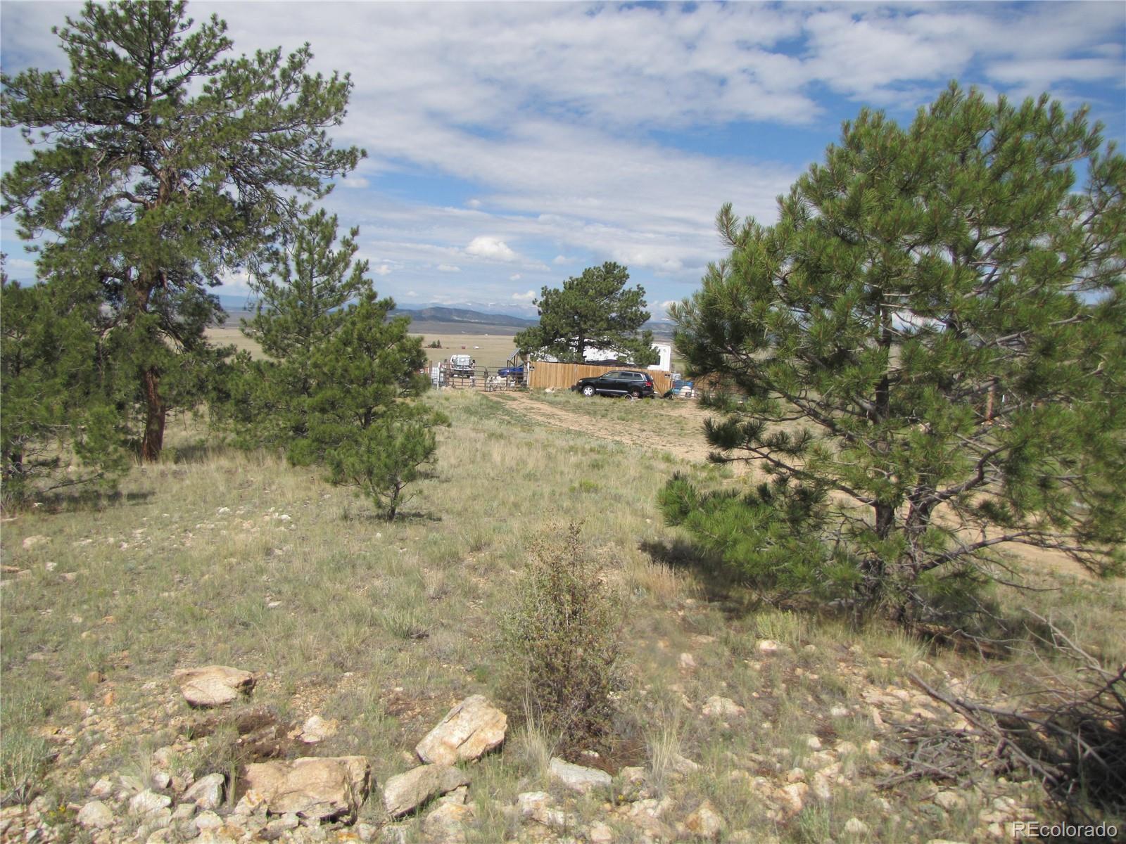 11744 Jackson Rd, Lake George, CO 80449