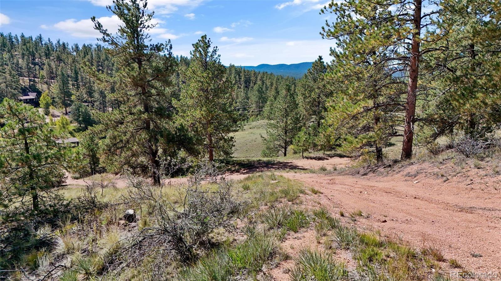 163 Valley View Dr, Florissant, CO 80816