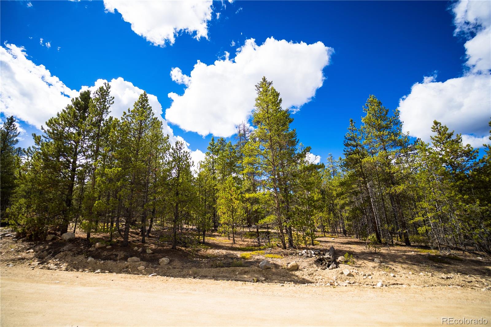 247 Juniper Dr, Twin Lakes, CO 80461