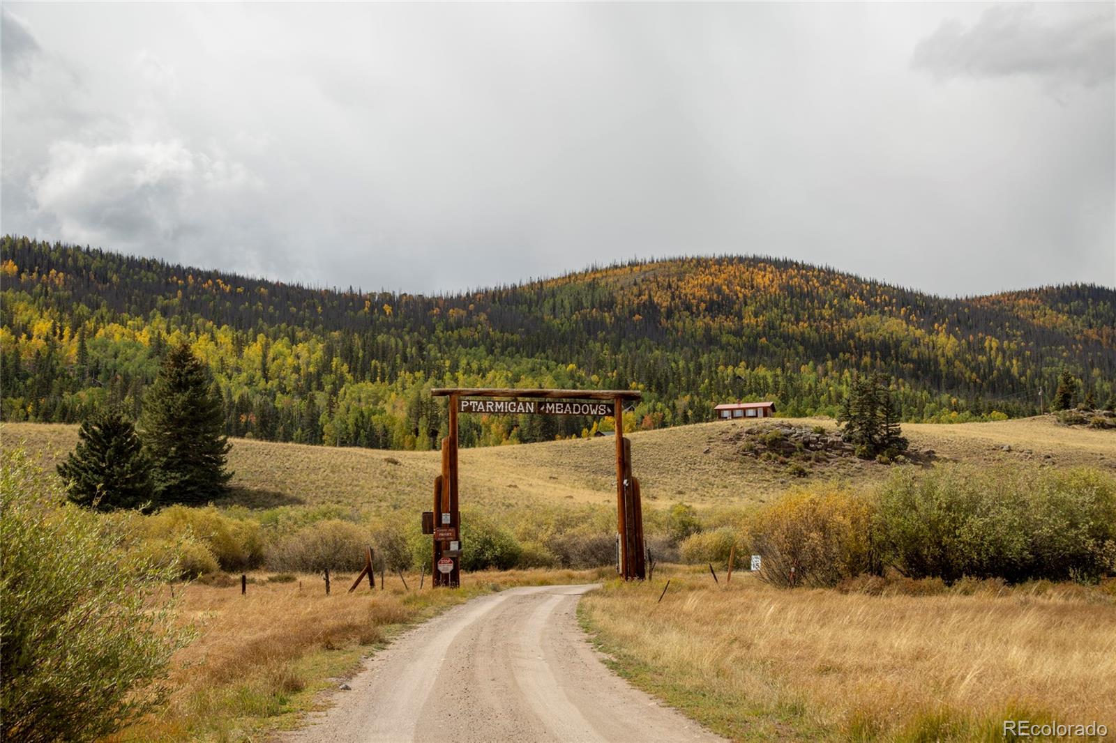 32001 Elk Trail Ln, Creede, CO 81130