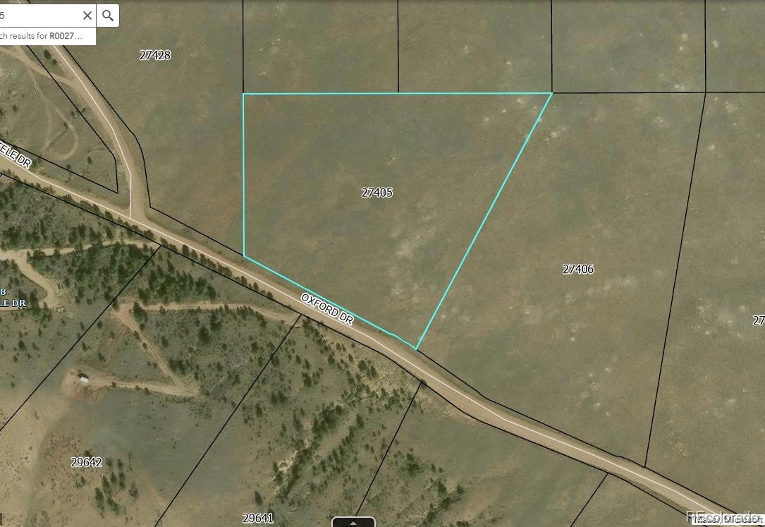 295 Oxford Dr, Hartsel, CO 80449