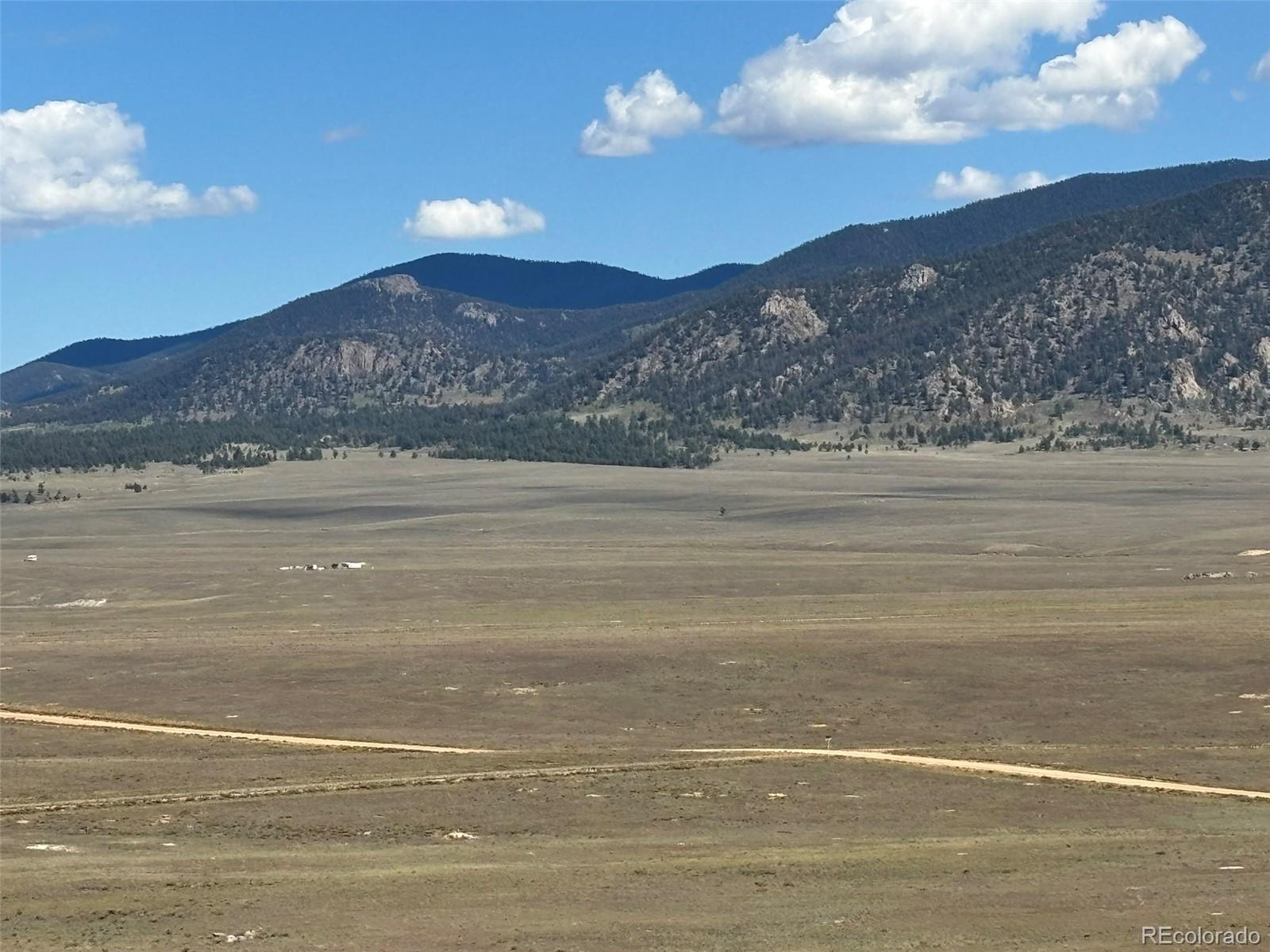 295 Oxford Dr, Hartsel, CO 80449