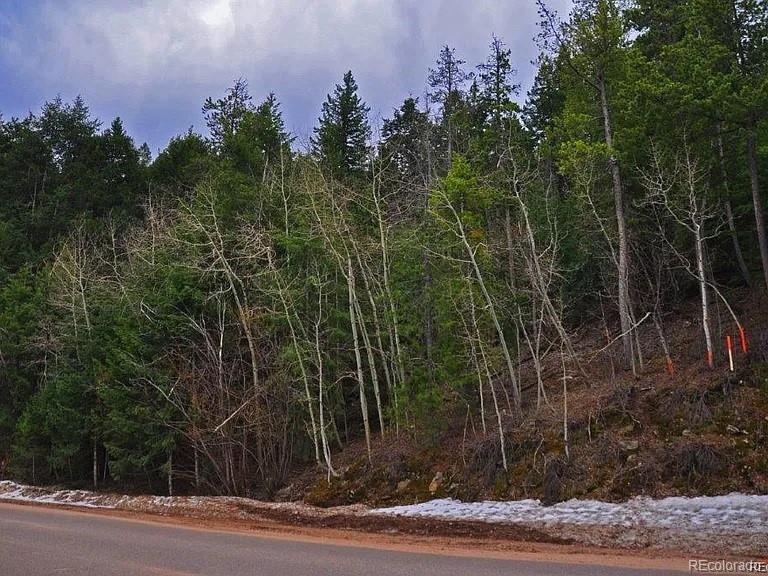 10136 Crest View Dr Lot 63, Morrison, CO 80465