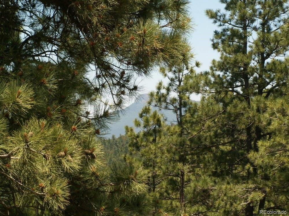 33280 Gallinas Pw Lot D24, Trinidad, CO 81082