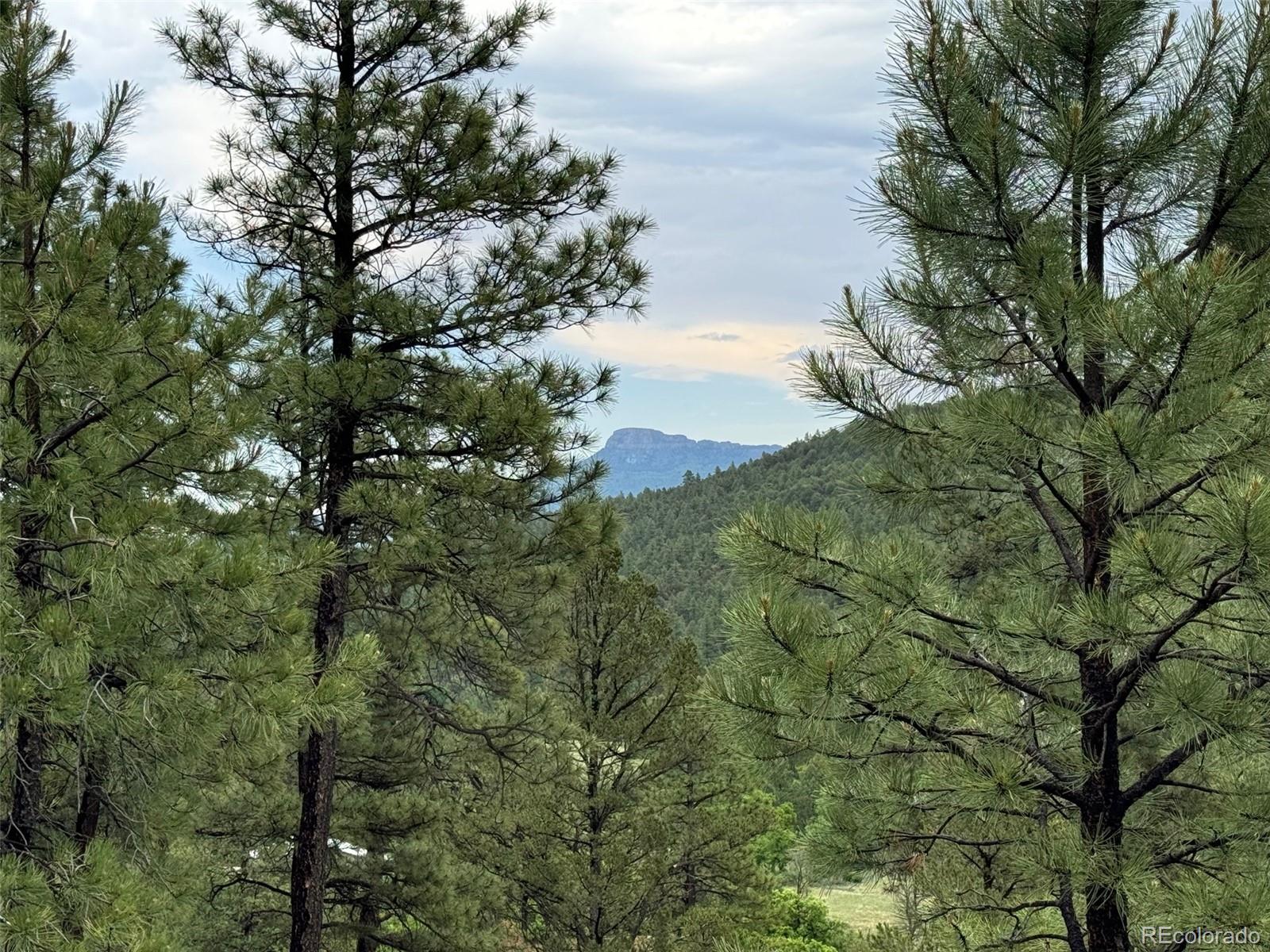 33280 Gallinas Pw Lot D24, Trinidad, CO 81082