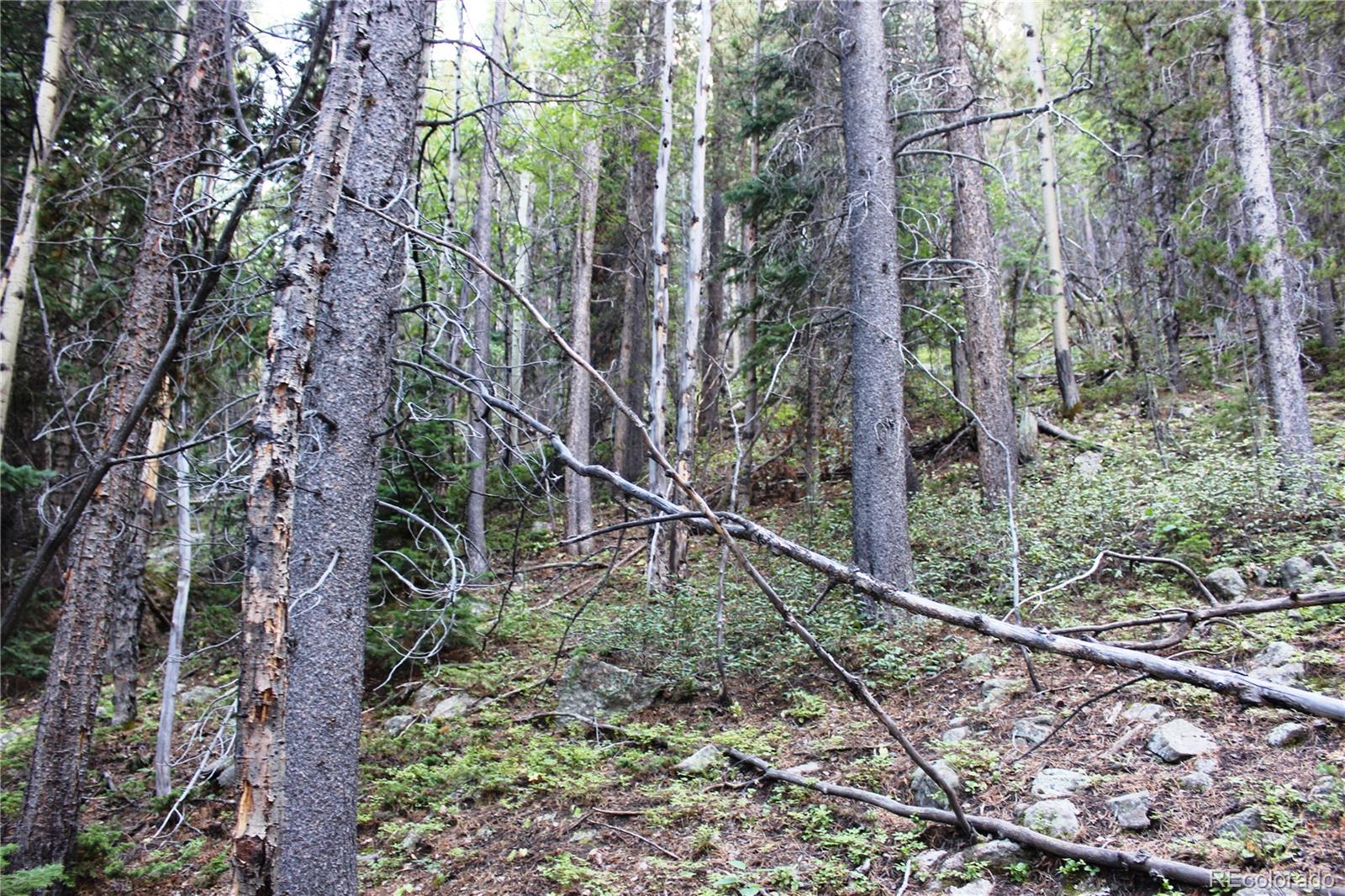 5340 Fs 718 1 Lot 5340, Black Hawk, CO 80422